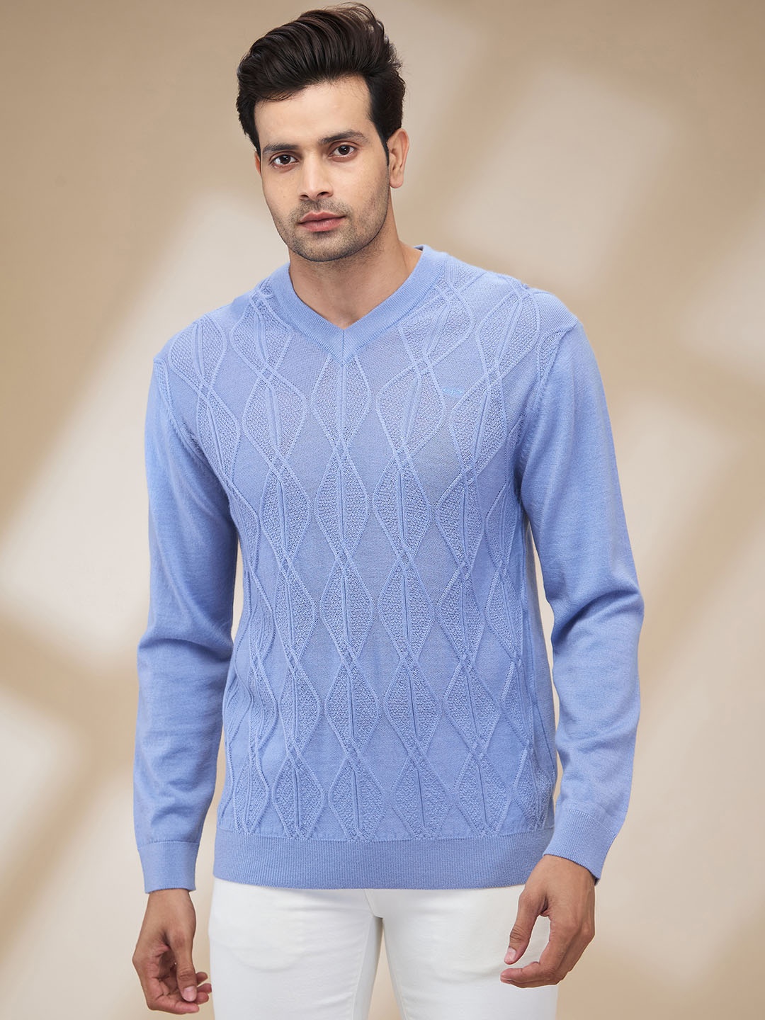 

ColorPlus Men Woollen Pullover, Violet
