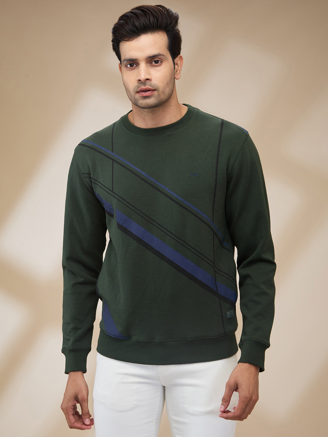 

ColorPlus Men Striped Round Neck Cotton Sweatshirt, Green