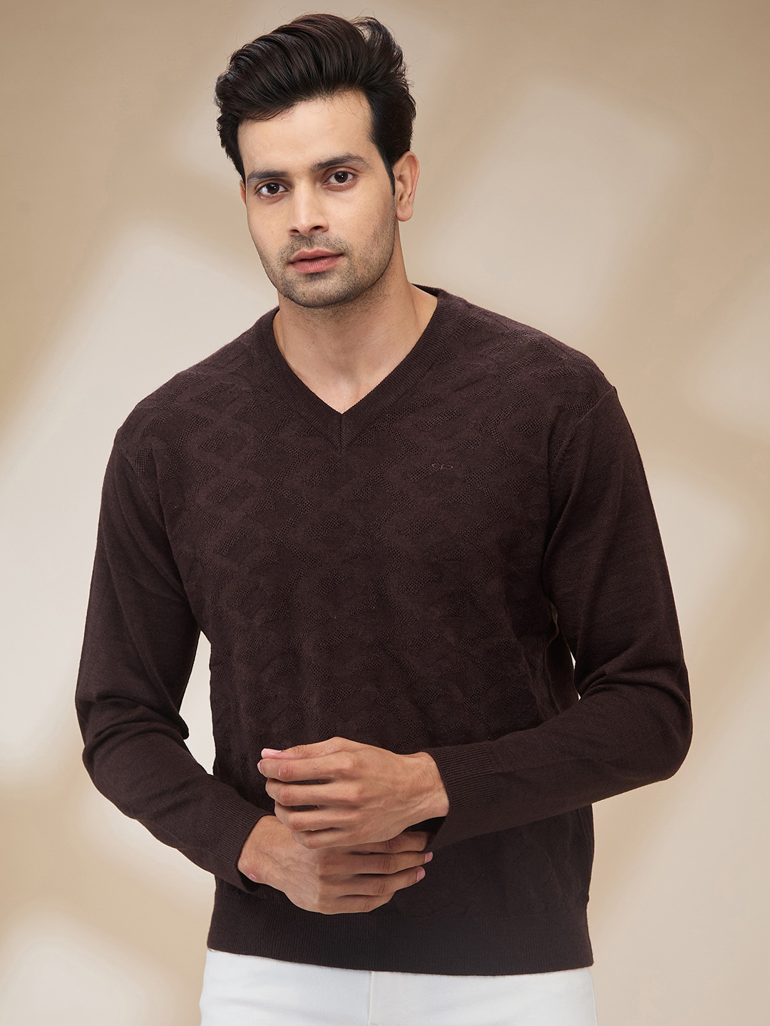 

ColorPlus Men Woollen Pullover, Brown