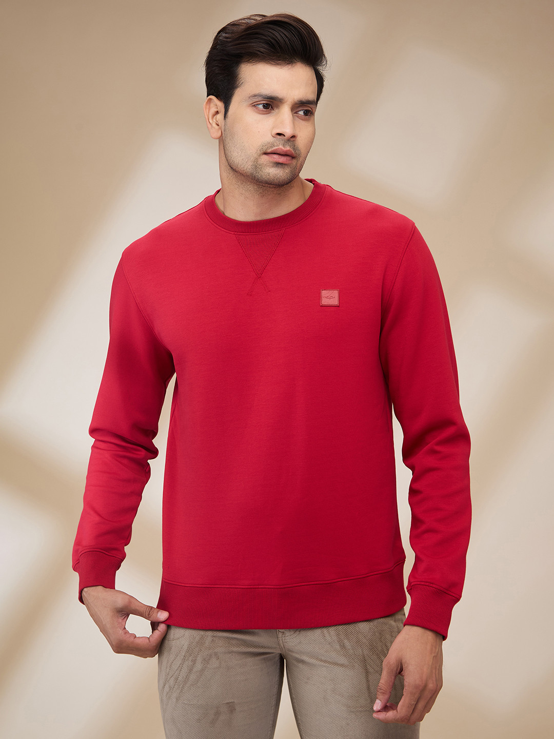 

ColorPlus Men Solid Pullover Sweatshirt, Red