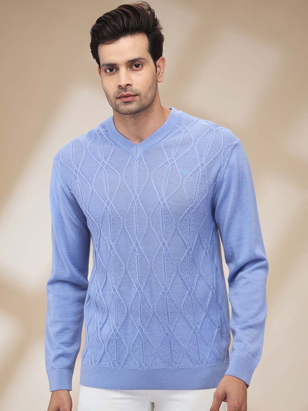 

ColorPlus Men Woollen Pullover, Violet
