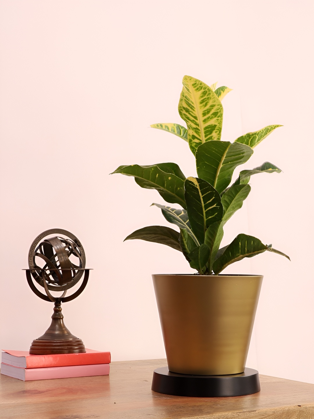 

pristine interiors Yellow & Black Metal Everette Planter, Gold