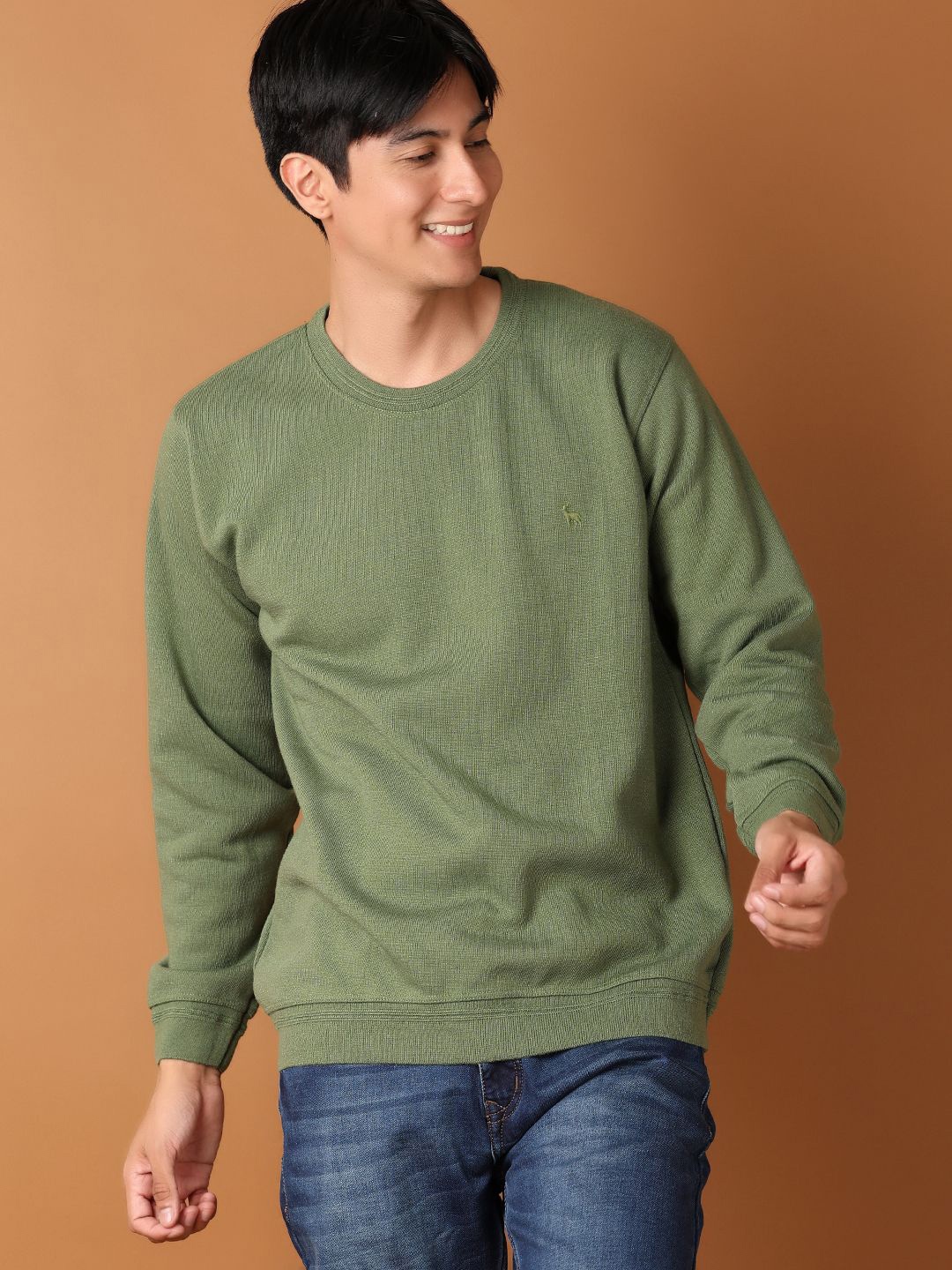 

V-Mart Men Cotton Long Sleeves Pullover, Green