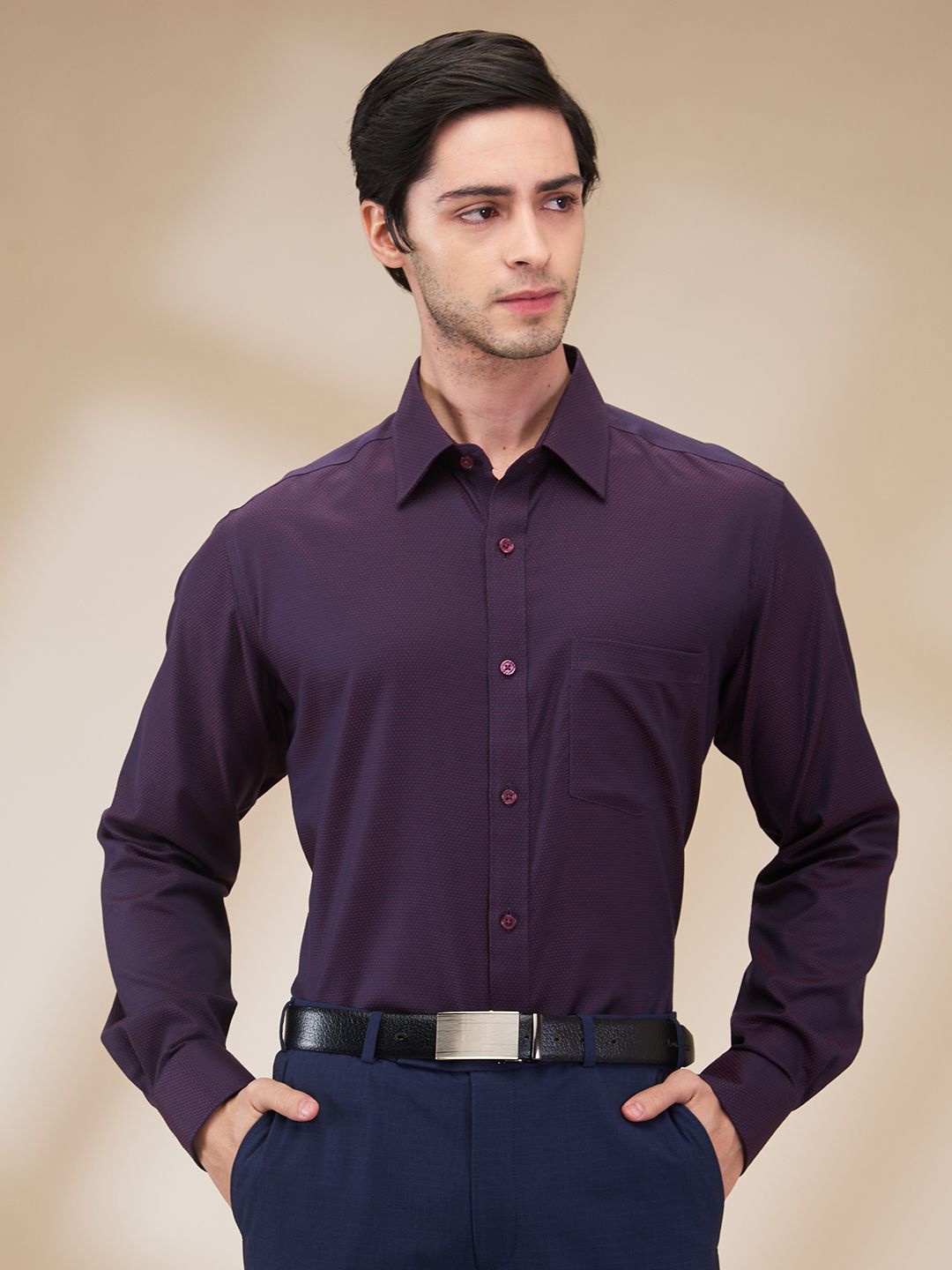

Park Avenue Men Spread Collar Textured Cotton Formal Shirt, Purple
