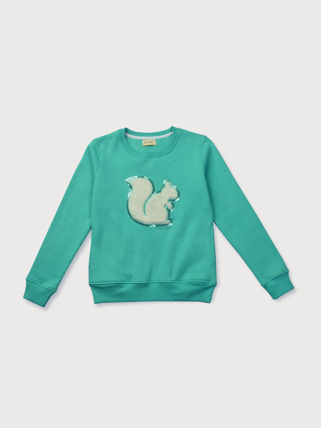 

Gini and Jony Girls Solid Round Neck Applique Cotton Sweatshirts, Sea green