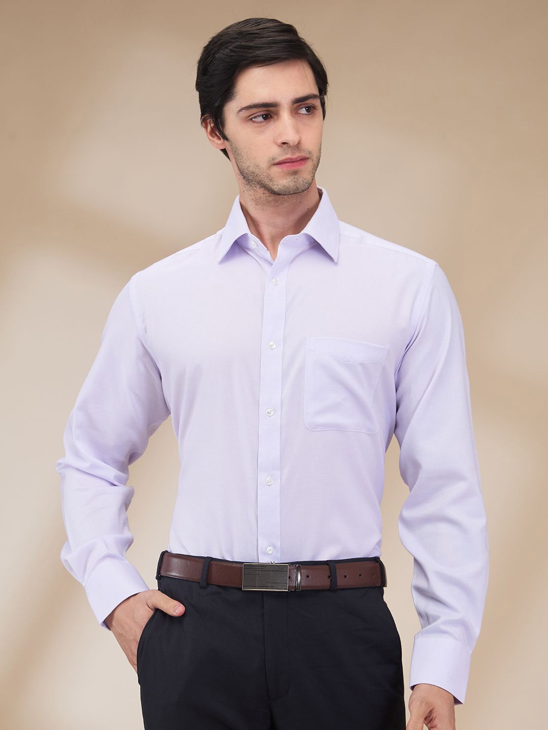 

Park Avenue Men Spread Collar Textured Cotton Formal Shirt, Violet