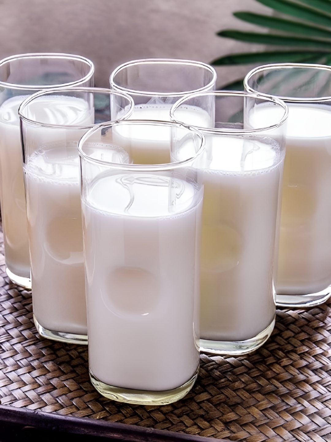 

FINSTER 6 Pieces Transparent Water & Milk Glass 300ml
