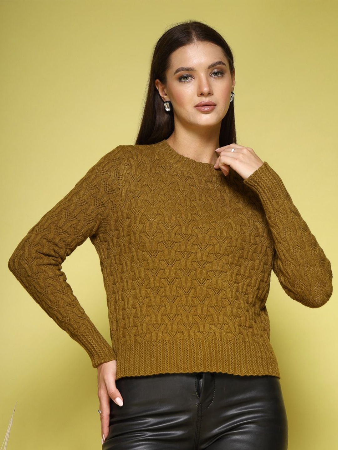 

Mafadeny Women Self Design Pullover Ribbed Sweater, Olive