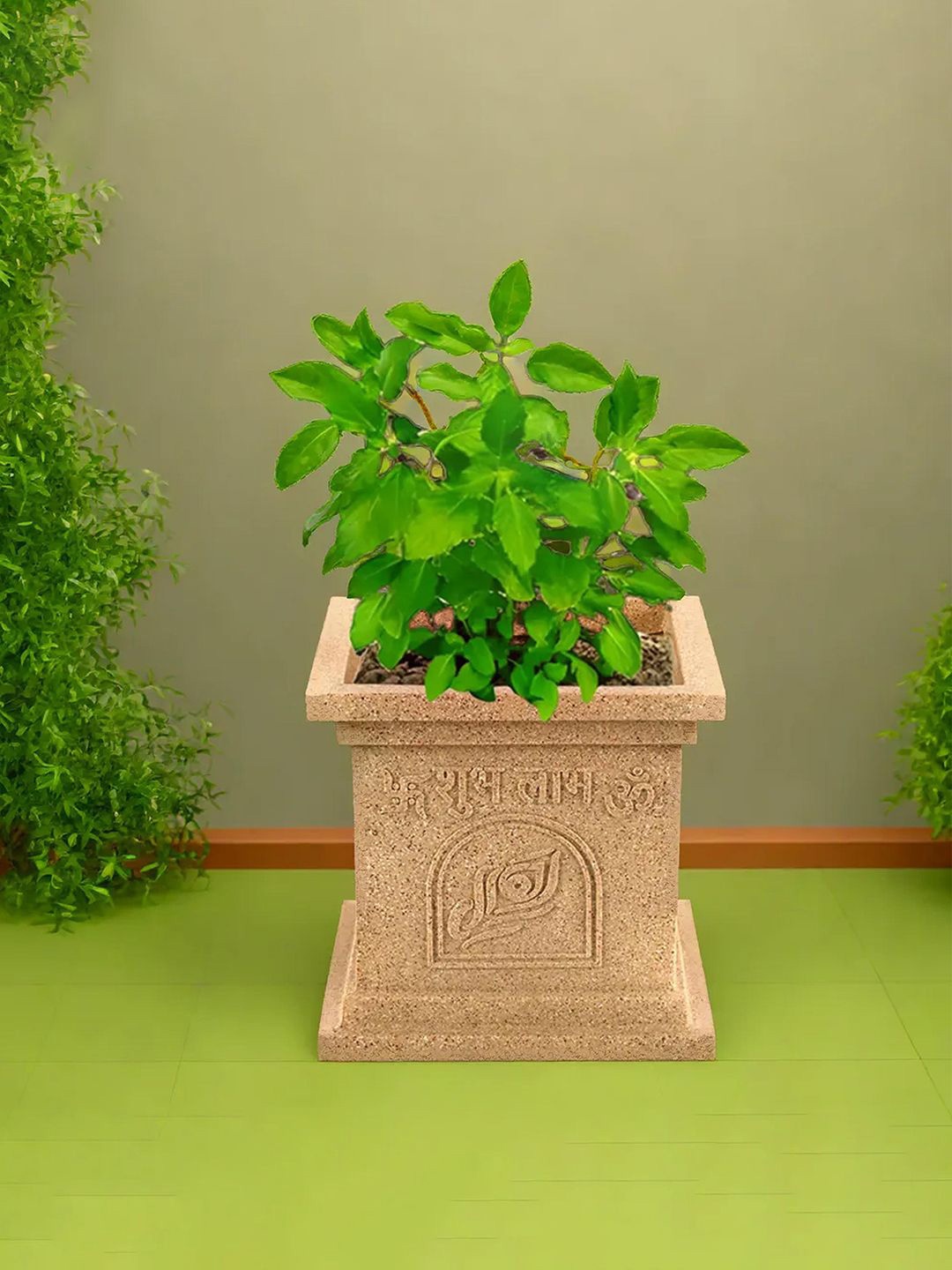 

Kuber Industries Beige 6 Pieces Tulsi Mancha Gamla Planter