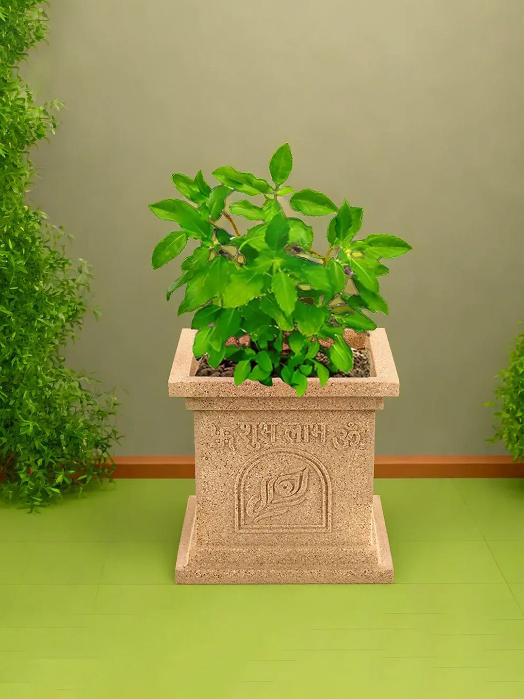 

Kuber Industries Beige 3 Pieces Tulsi Mancha Gamla Square Planters