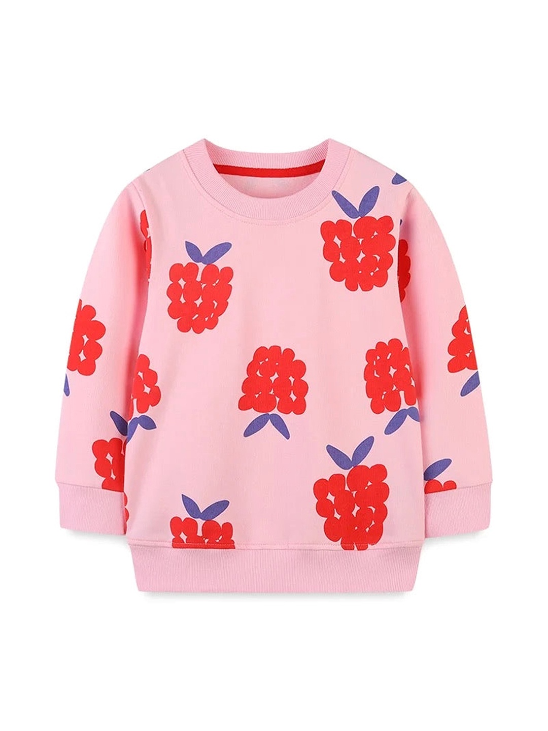 

TrendyKid Girls Conversational Printed Round Neck Cotton Pullover Sweatshirt, Pink