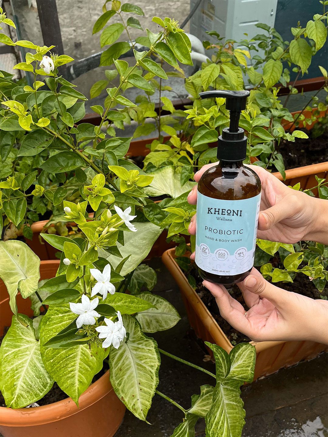 

Kheoni Probiotic Hand & Body wash - 250ml, Transparent