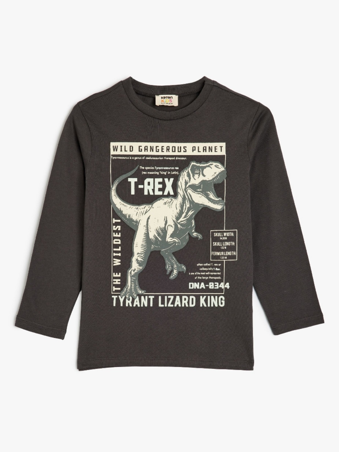 

Koton Boys Graphic Printed Round Neck Cotton T-shirt, Charcoal