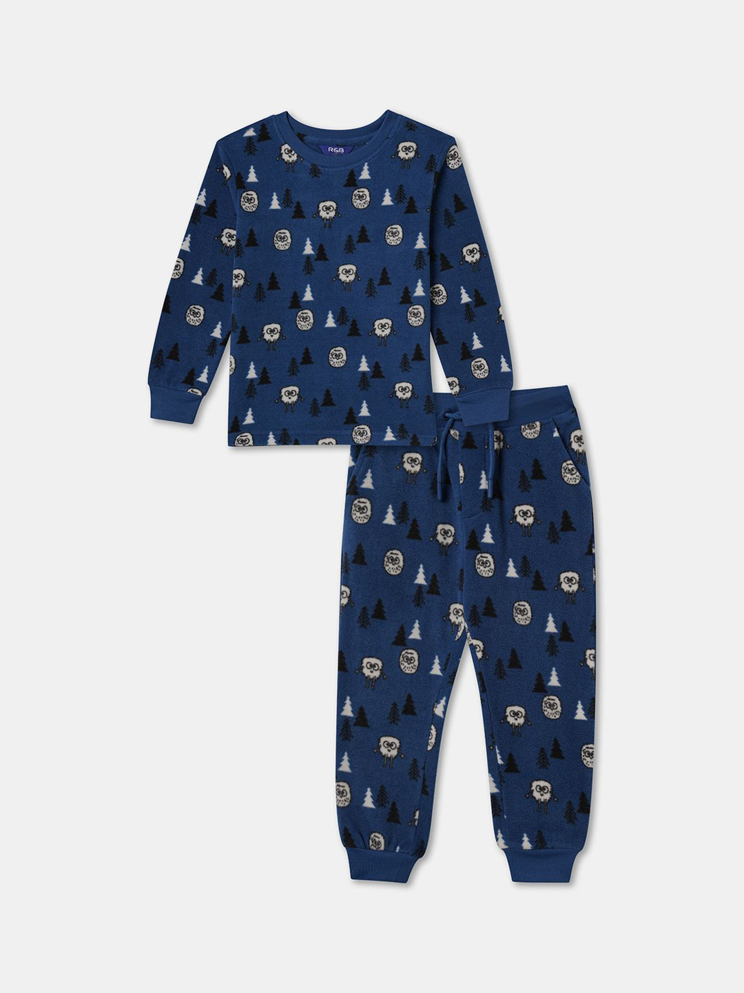 

R&B Boys Printed Pure Cotton Sweatshirt With Joggers Clothing Set, Blue