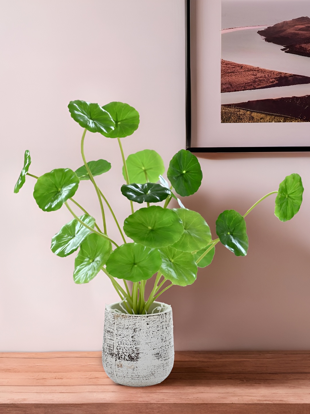 

UMAI Green Money Artificial Plant With Pot