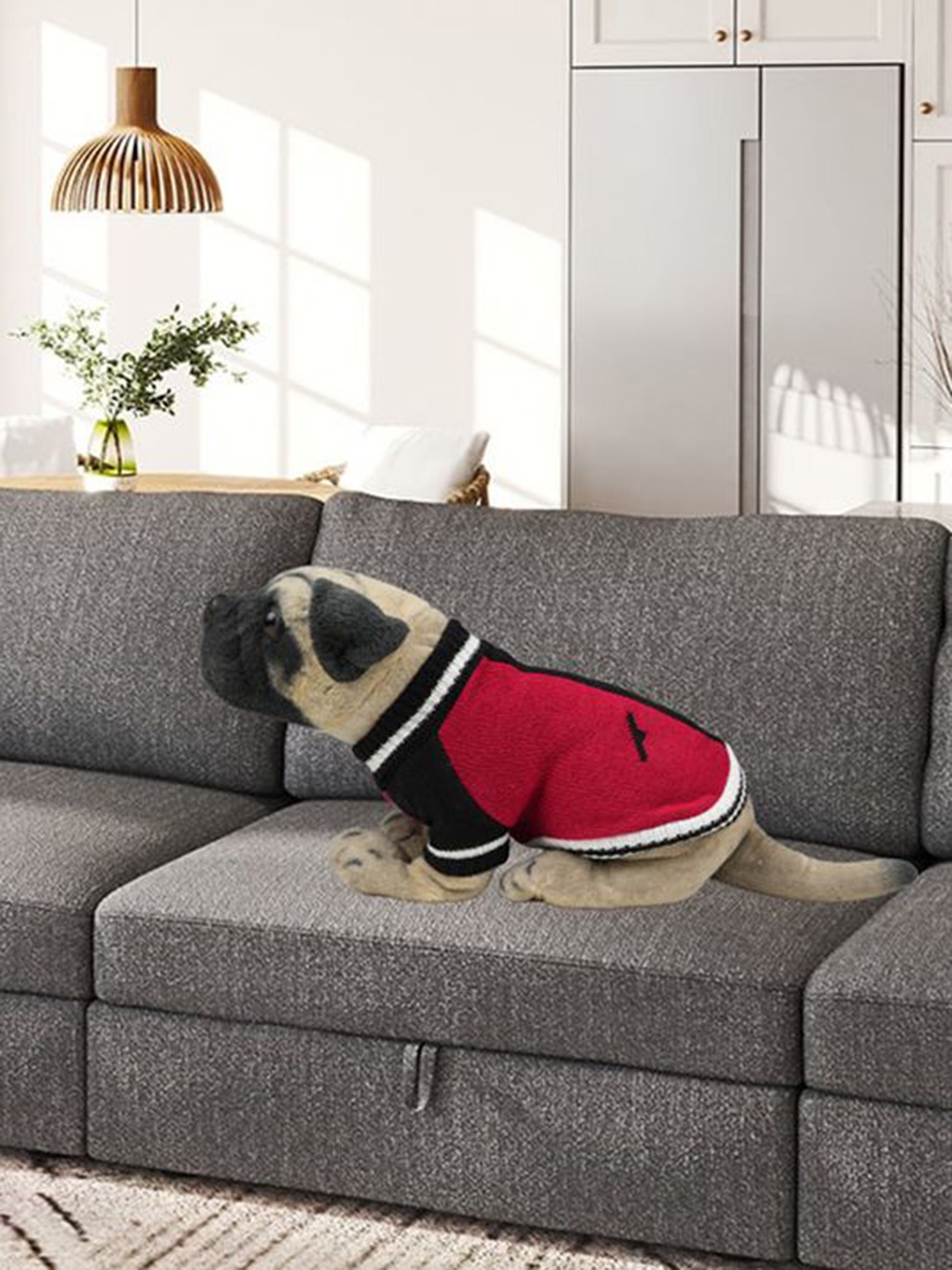 

Lulala Turtle Neck Self Design Dog Sweater, Red