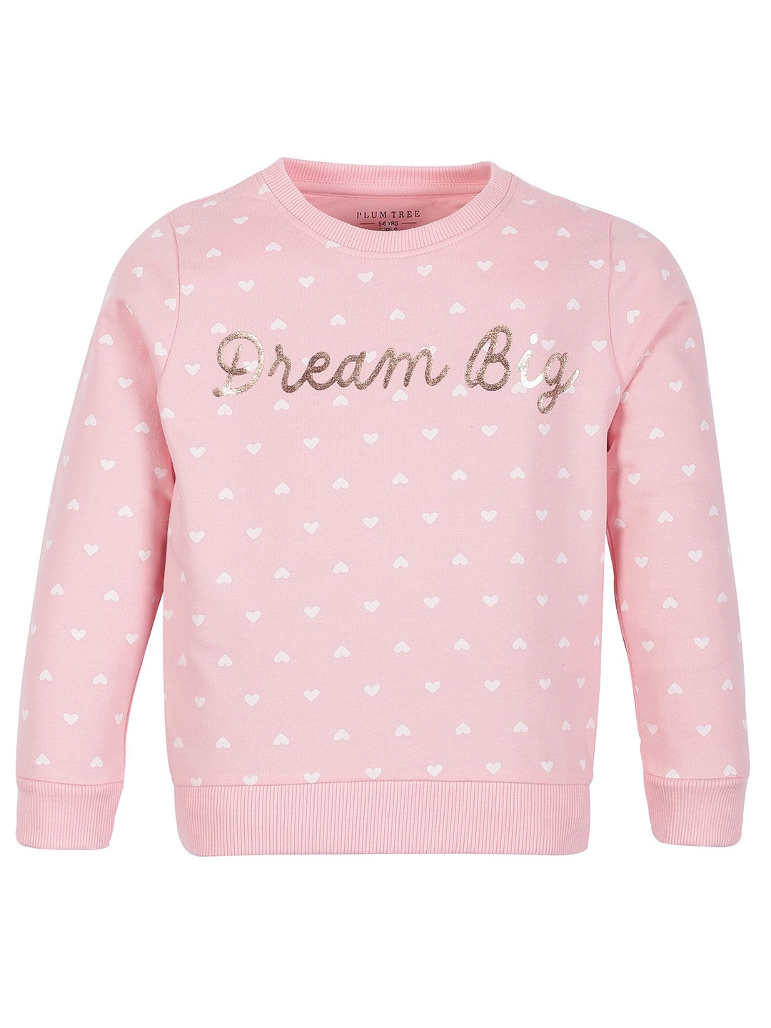 

PLUM TREE Girls Conversational Printed Round Neck Cotton Pullover Sweatshirt, Pink