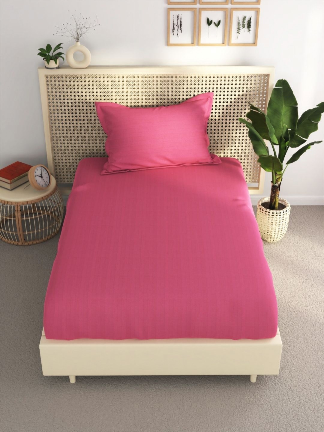 

BIANCA Rose Striped Pure Cotton 210 TC Single Bedsheet & 1 Pillow Covers 2.29 x 2.54 Mts