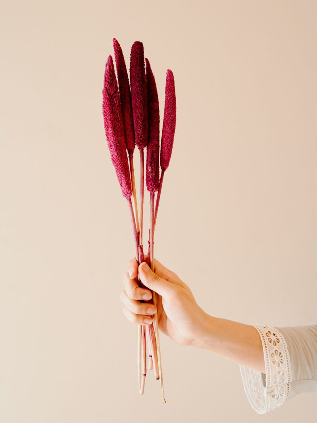 

ArteCasa Pink 5 Pieces Artificial Flowers