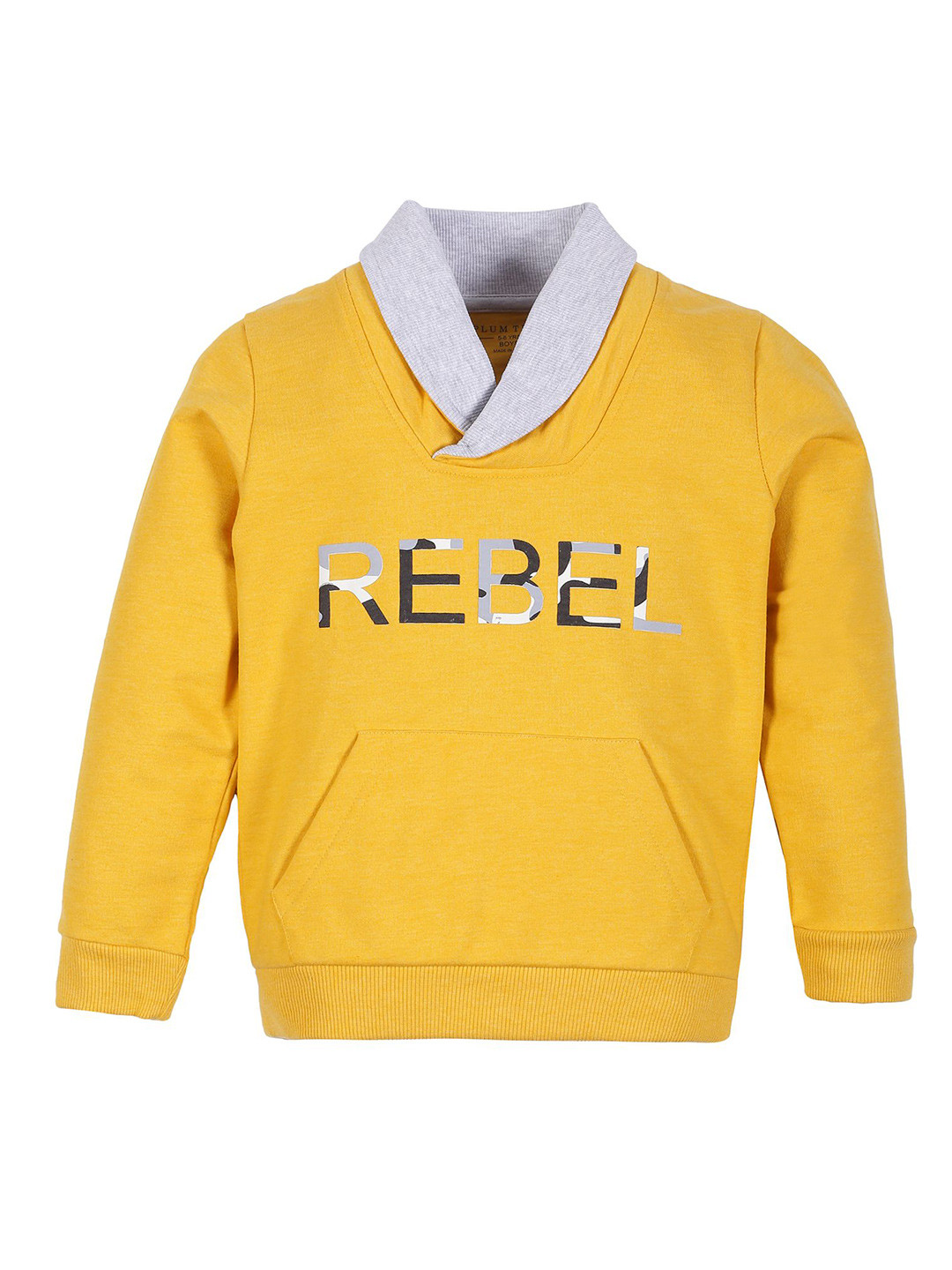 

PLUM TREE Boys Alphanumeric Printed V-Neck Cotton Pullover Sweatshirt, Yellow