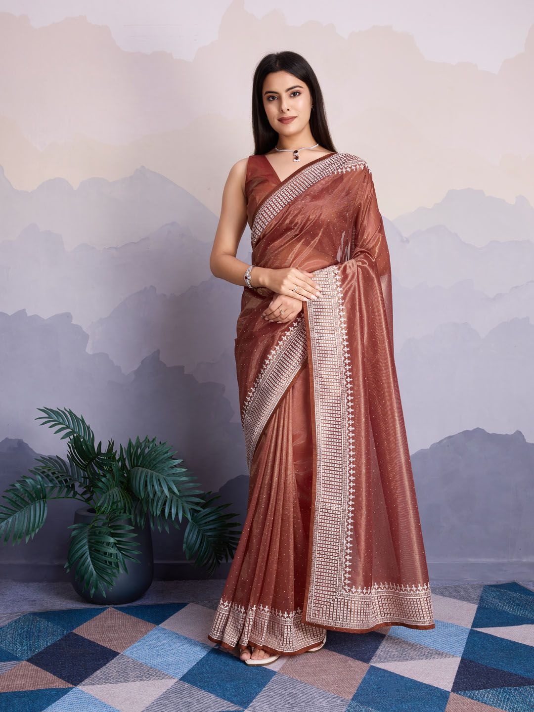 

Meena Bazaar Plain Border Embroidered Tissue Saree, Brown