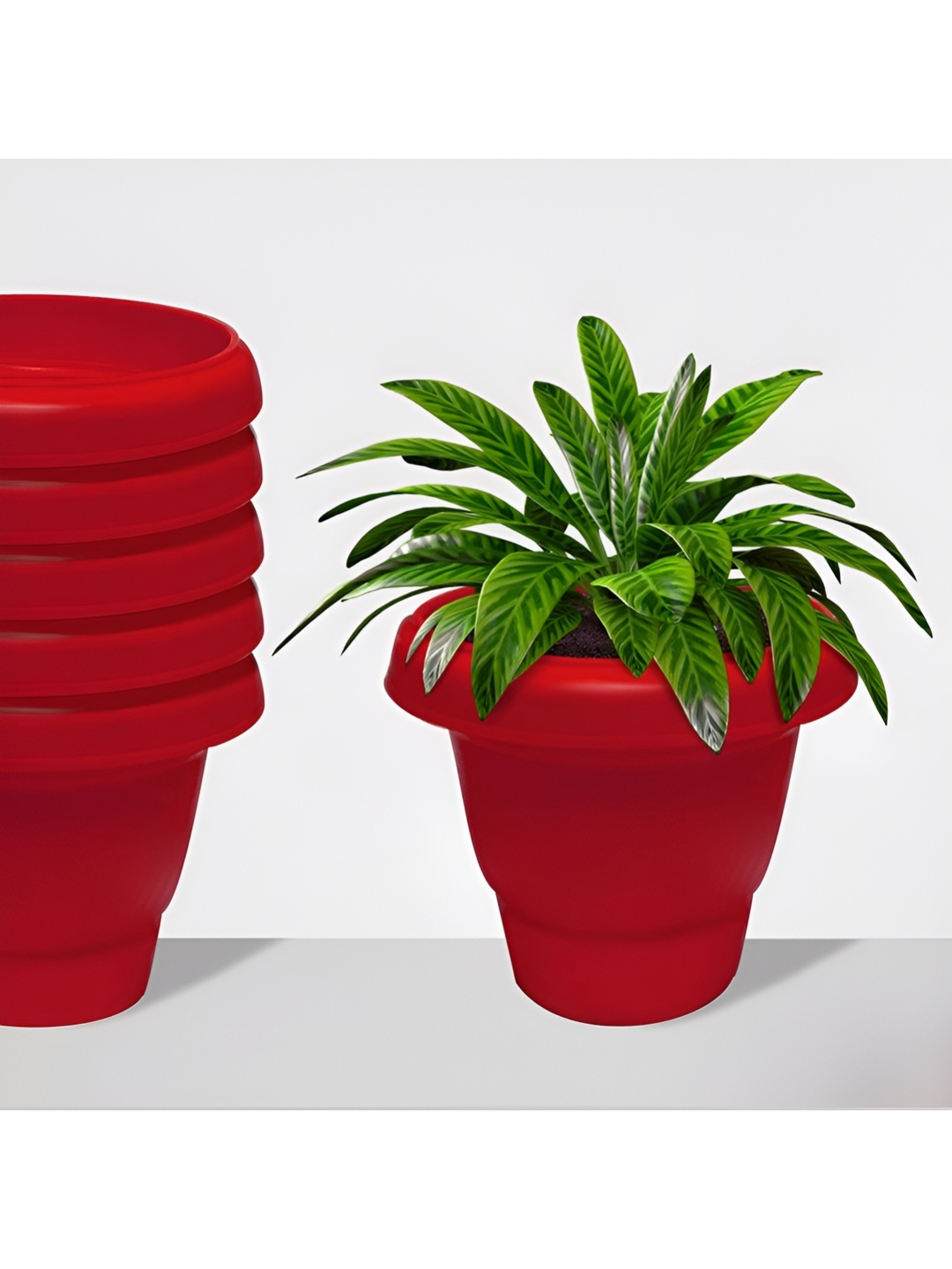 

Urban Choice Red and Green 6 Pieces Artificial Plant