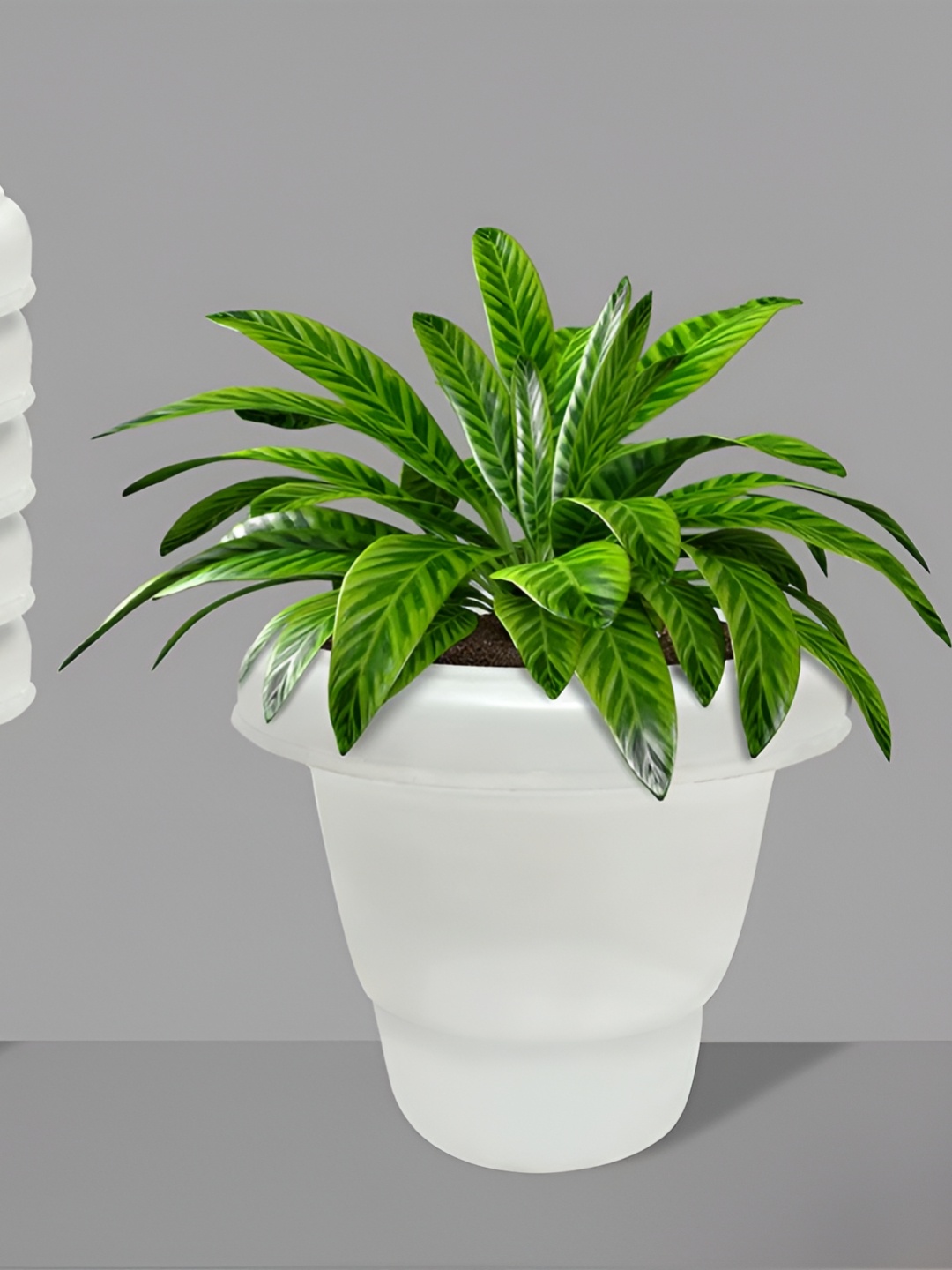 

Urban Choice White and Green 6 Pieces Artificial Plant