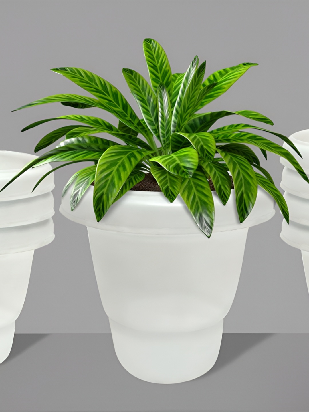 

Urban Choice White 8 Pieces Artificial Flowers and Plants