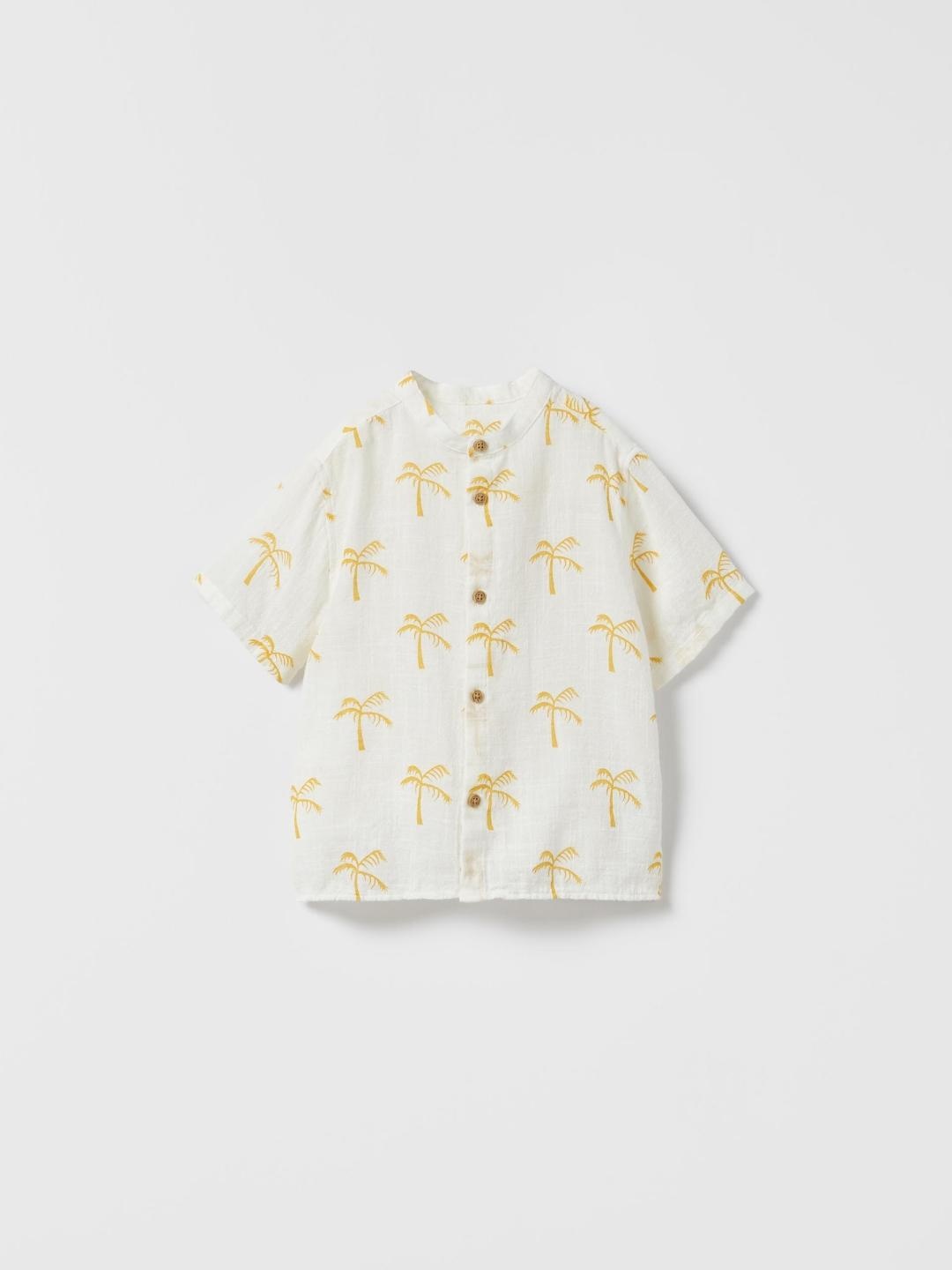 

ZARA Kids Multi Shirt