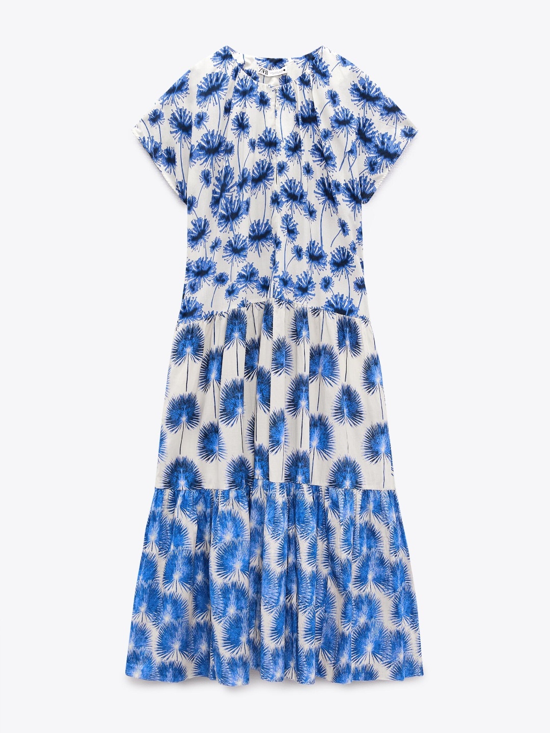 

ZARA Women Multi Dress