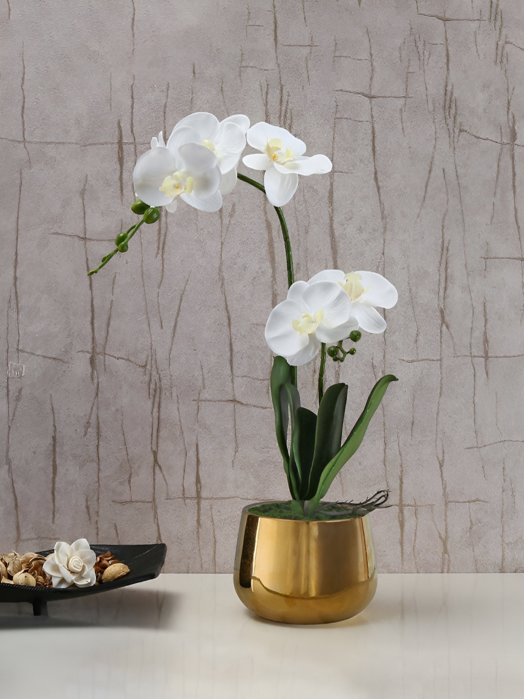 

Athome by Nilkamal White & Green Orchid Artificial Flowers With Pot