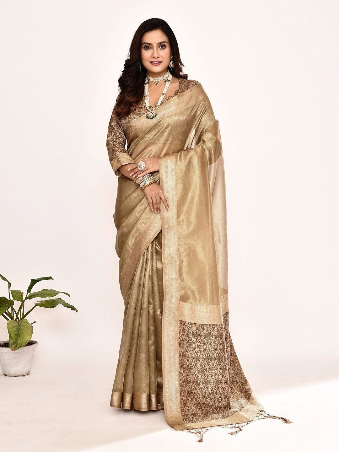 

elora Woven Design Zari Tissue Banarasi Saree, Cream