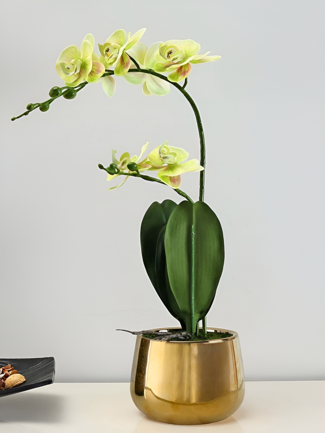 

Athome by Nilkamal Yellow & Green Orchid Artificial Flowers With Pot