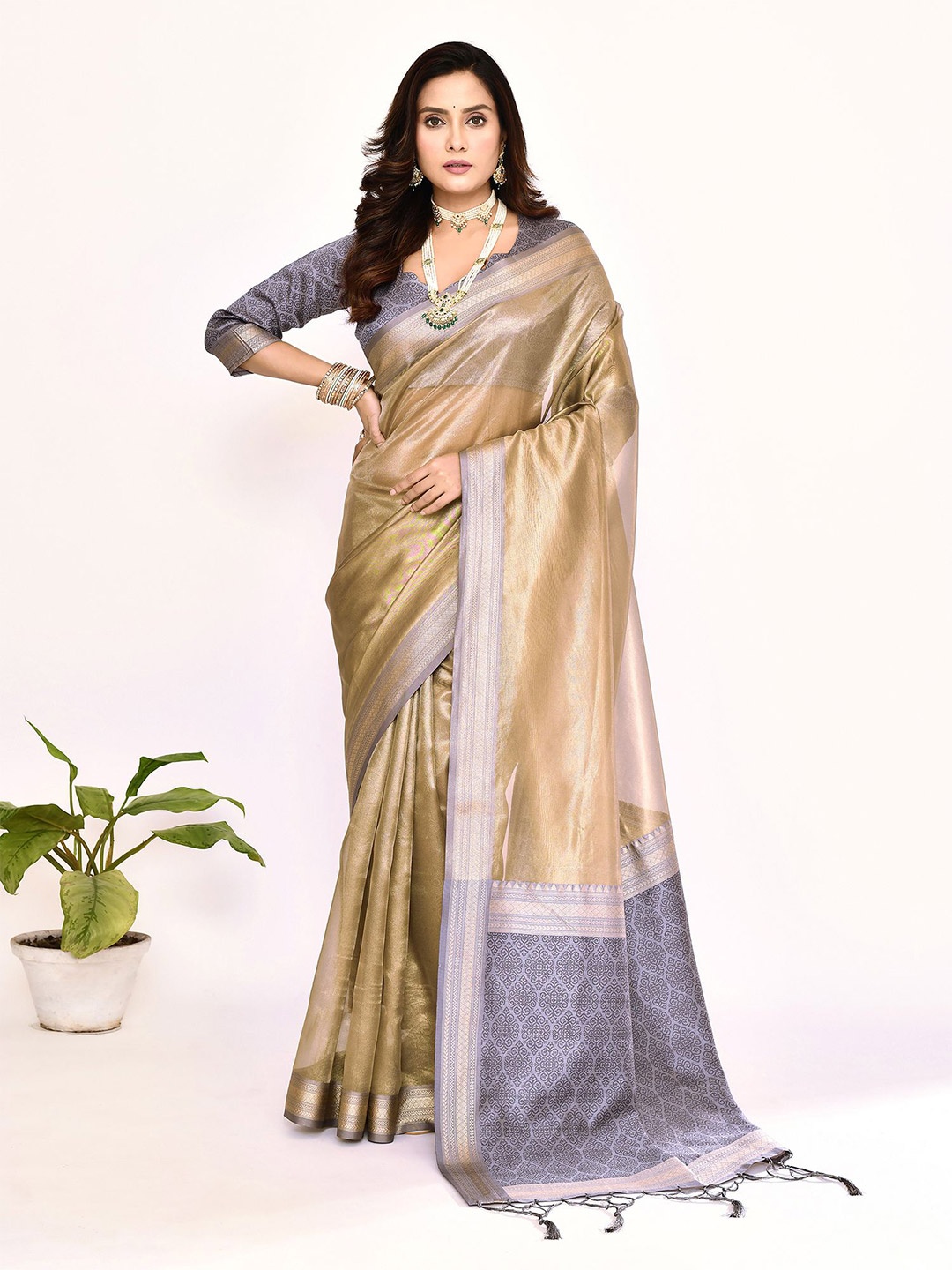 

elora Zari Tissue Banarasi Saree, Grey