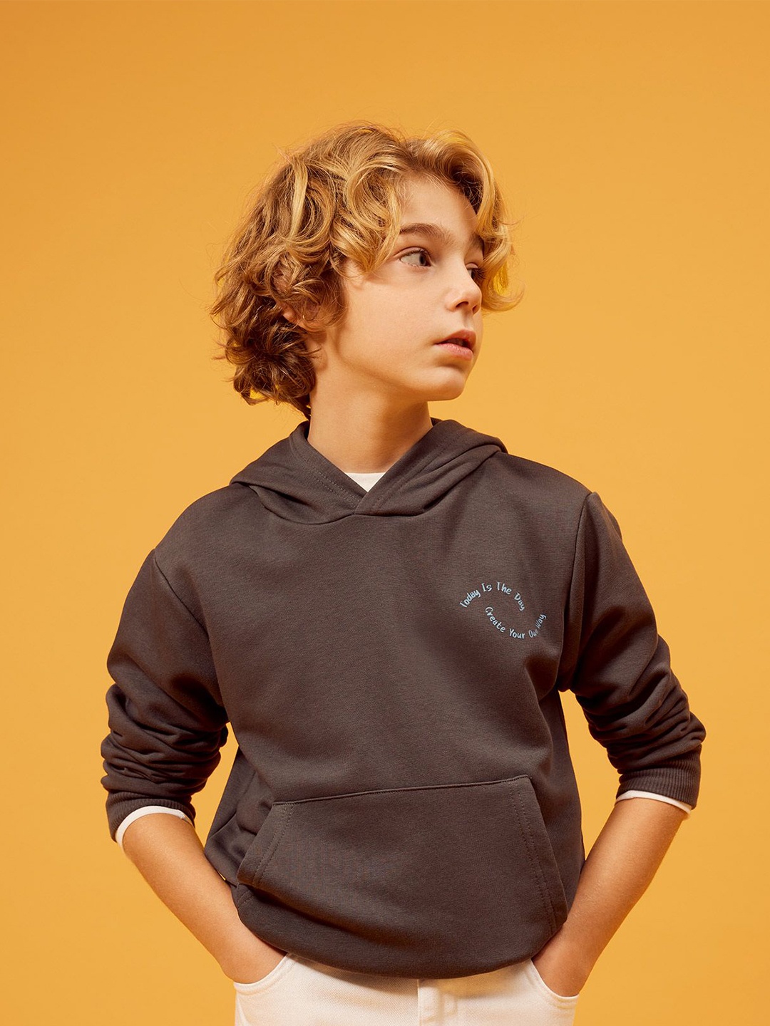 

DeFacto Hooded Sweatshirt, Grey