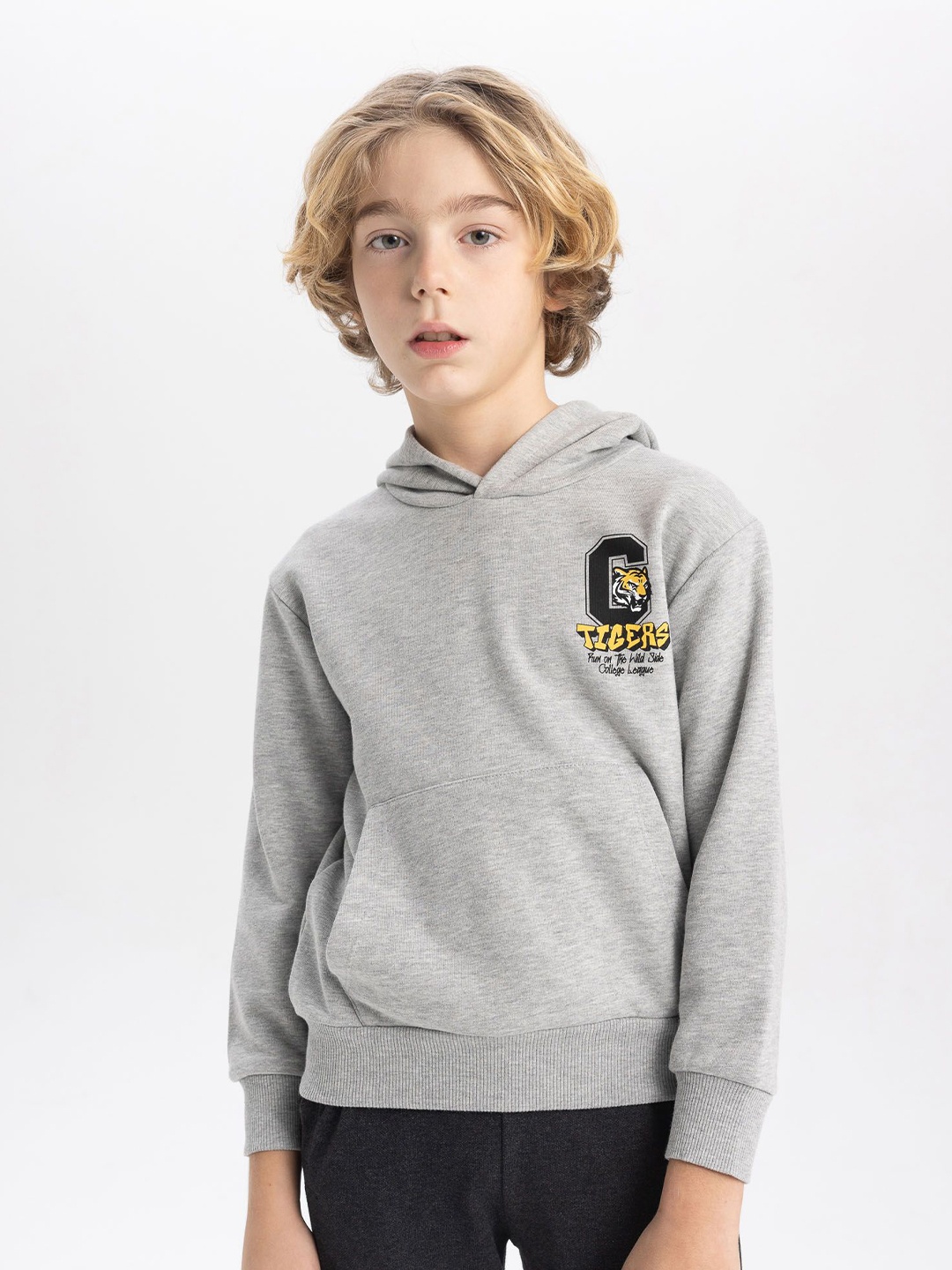 

DeFacto Boys Printed Hooded Sweatshirt, Grey