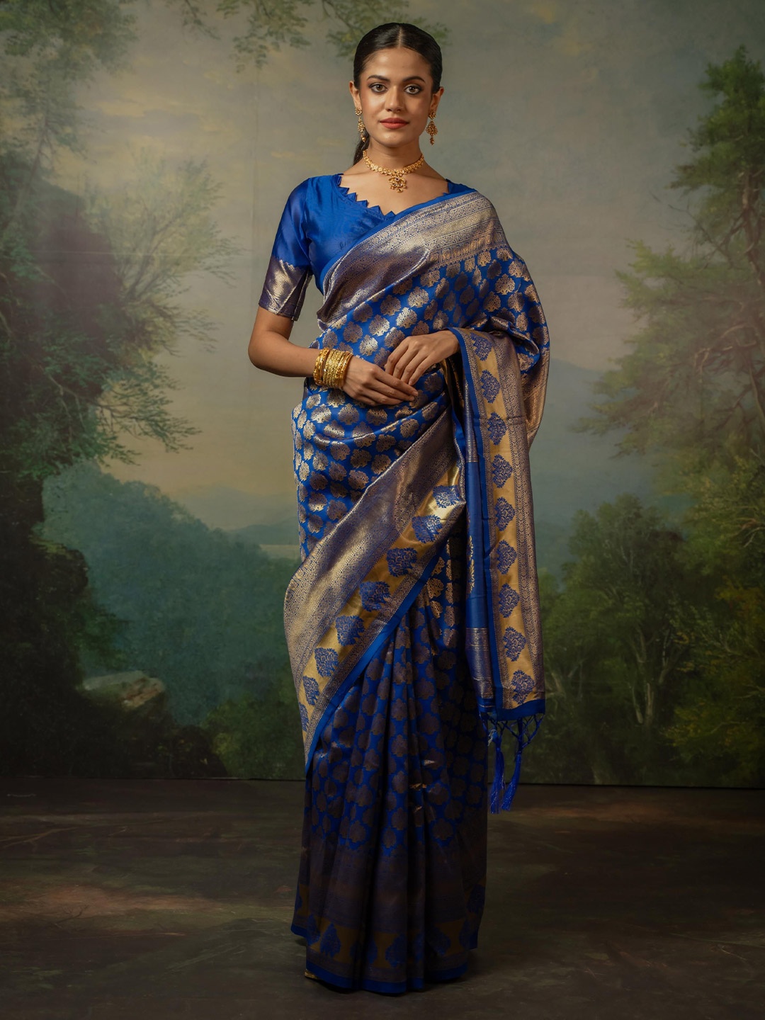 

Sangria Woven Design Kanjeevaram Saree, Blue