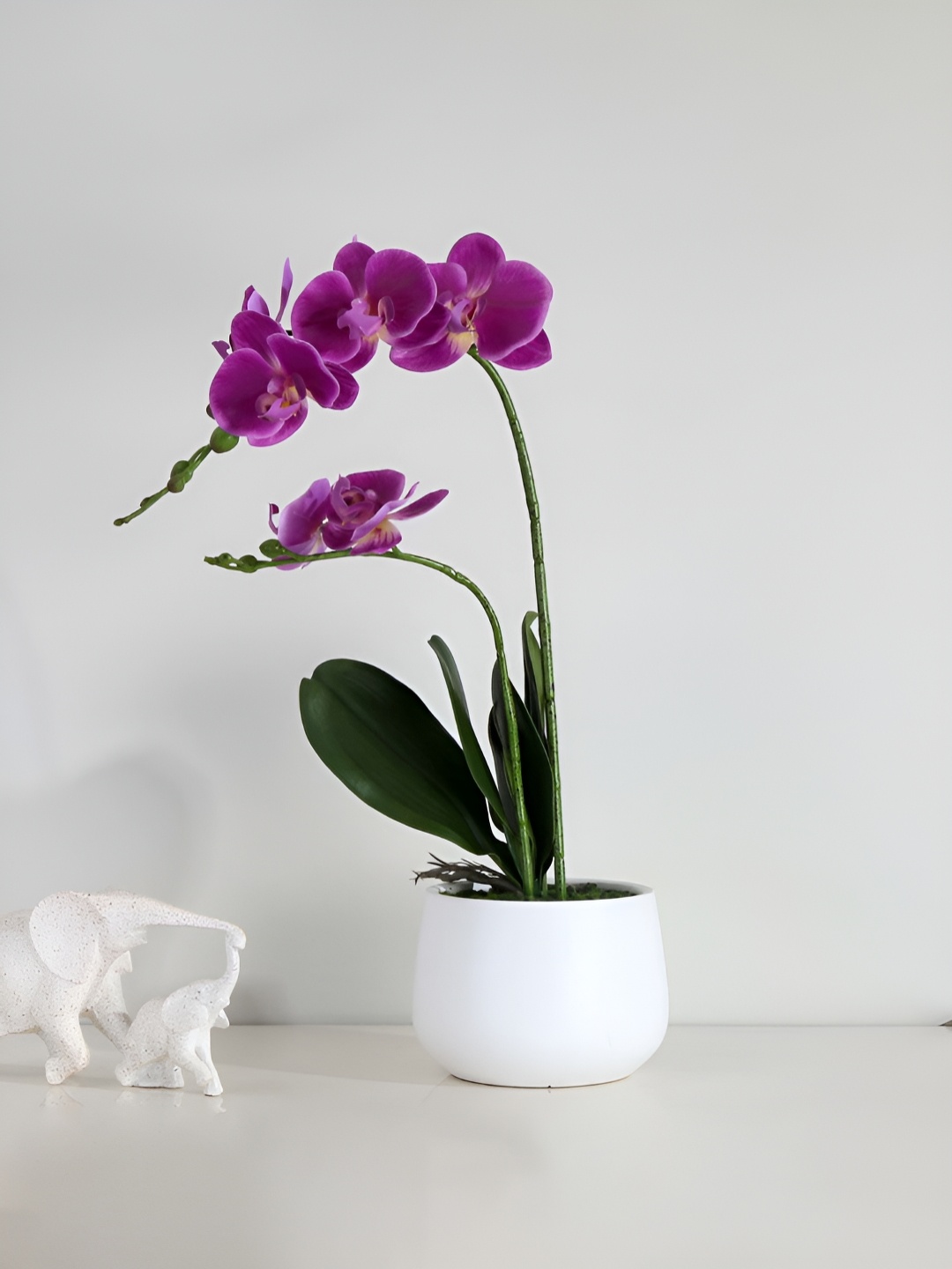 

Athome by Nilkamal Purple Orchid Artificial Flowers With Pot