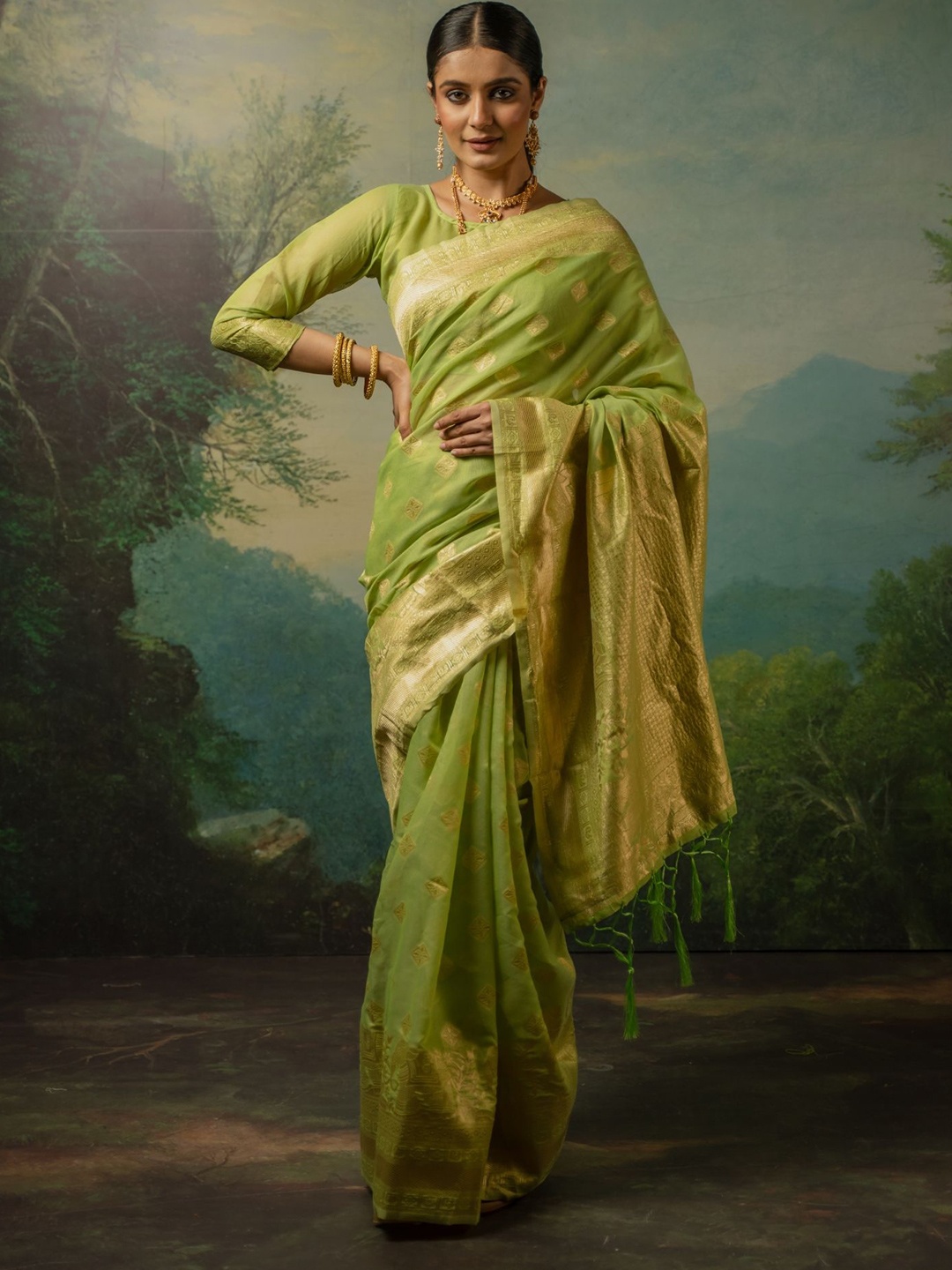 

Sangria Ethnic Motif Zari Woven Banarasi Saree, Green