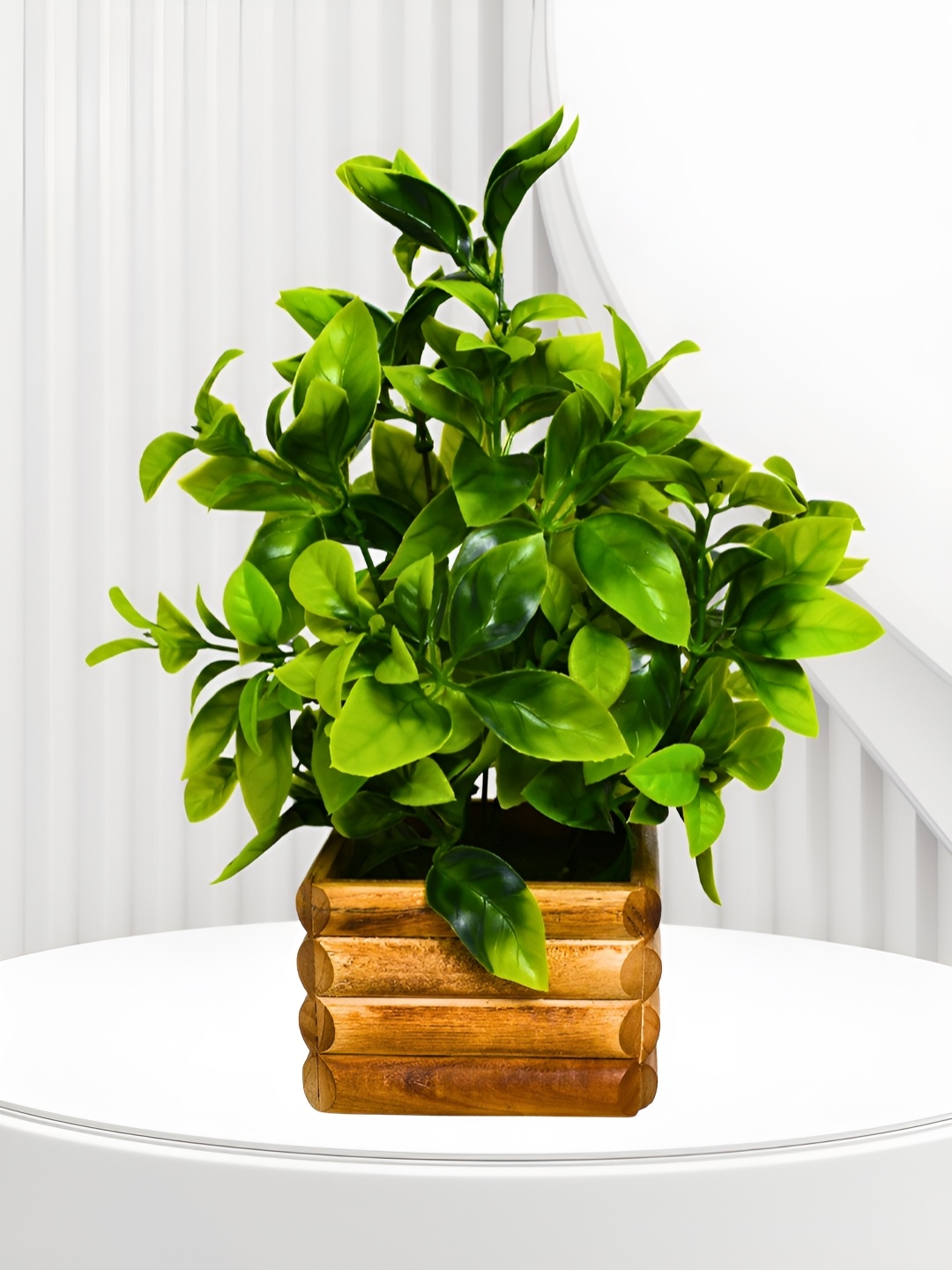 

fancy mart Green 1 Pieces Artificial Plant With Pot