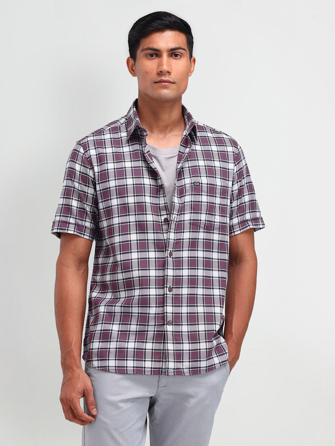 

Arrow Sport Men Classic Spread Collar Checked Cotton Casual Shirt, Purple