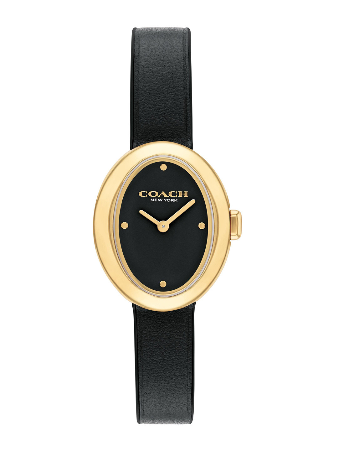 

Coach Women Sammy Dial & Leather Straps Analogue Watch 14504421, Black