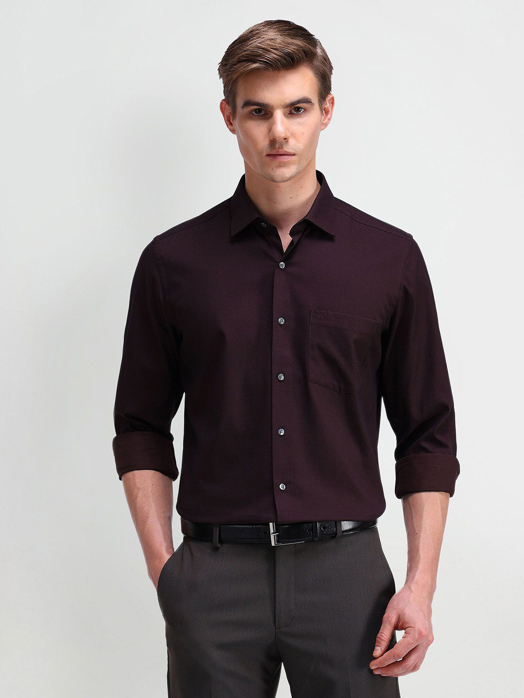 

Arrow Men Classic Spread Collar Solid Cotton Formal Shirt, Red
