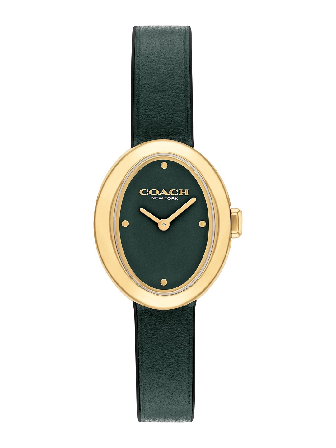 

Coach Women Sammy Analogue Watch 14504425, Green