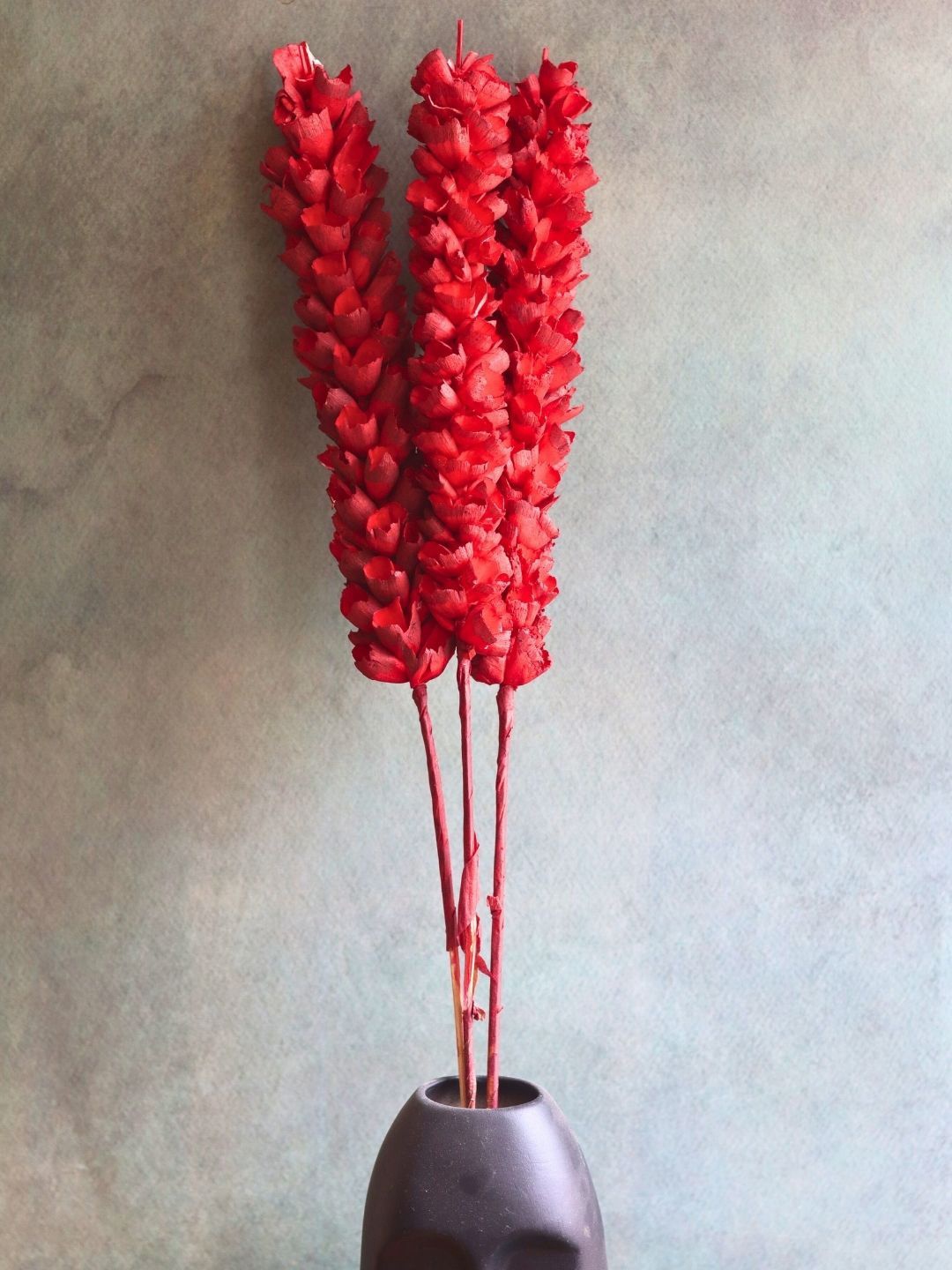 

WEAVING HOMES Red Bunch of Dried Red Phalaris Flower