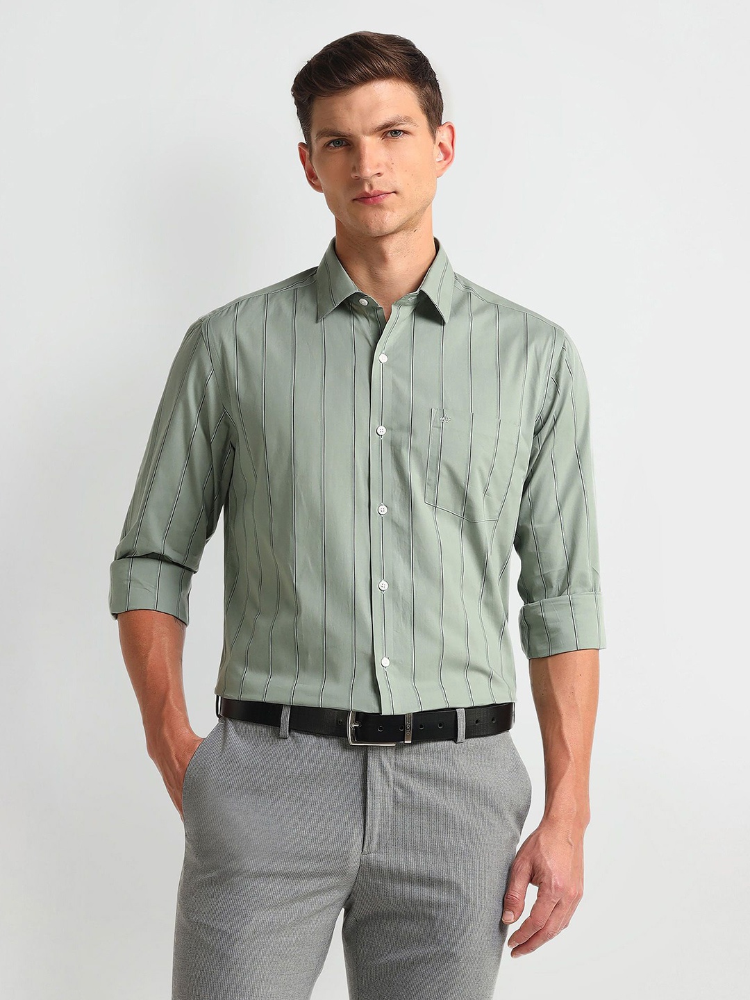 

Arrow Men Modern Spread Collar Vertical Striped Cotton Slim Fit Formal Shirt, Green