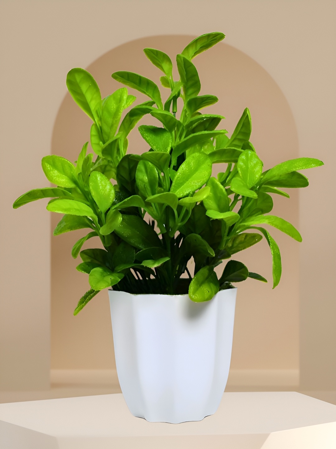 

fancy mart Green 1 Pieces Artificial Plant With Pot