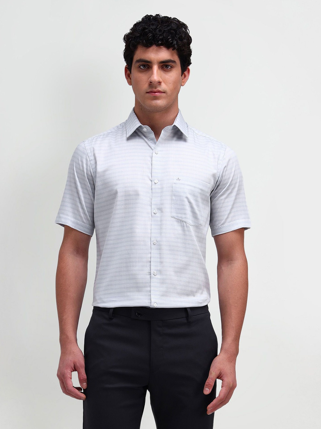 

Arrow Men Classic Spread Collar Micro Checked Cotton Formal Shirt, Grey