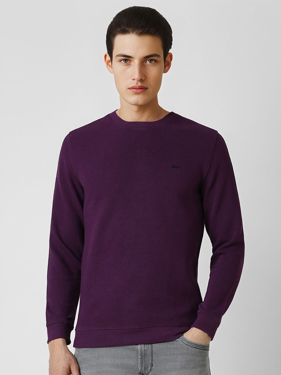 

Van Heusen Sport Men Solid Round Neck Sweatshirt, Purple