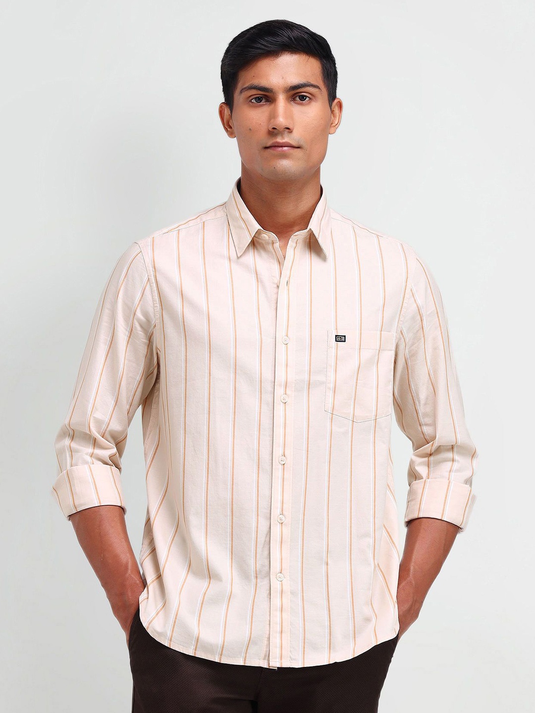

Arrow Sport Men Classic Vertical Striped Cotton Casual Shirt, Beige